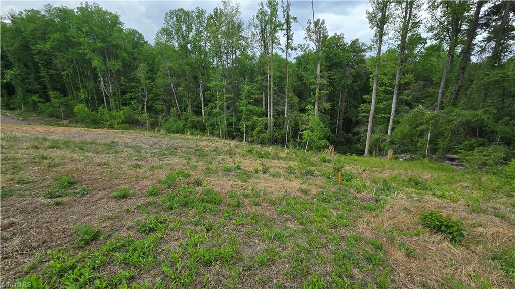 Lot 31 Meadowlark Rd Mount Mount Airy, NC 27030 - Photo 8 of 13