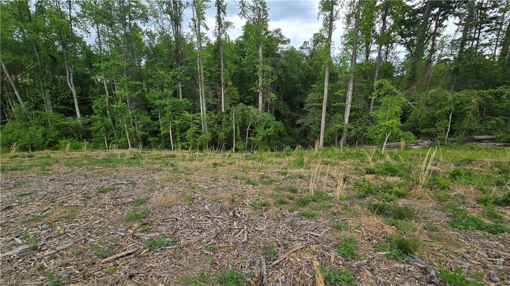 Lot 31 Meadowlark Rd Mount Mount Airy, NC 27030 - Photo 9 of 13