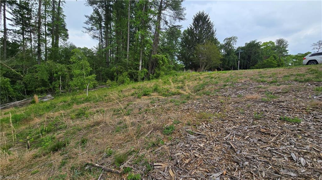 Lot 31 Meadowlark Rd Mount Mount Airy, NC 27030 - Photo 10 of 13