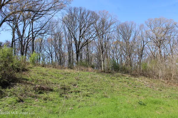 $115,000 | 10 Barton Desoto Road, Olive Branch, MS 38654