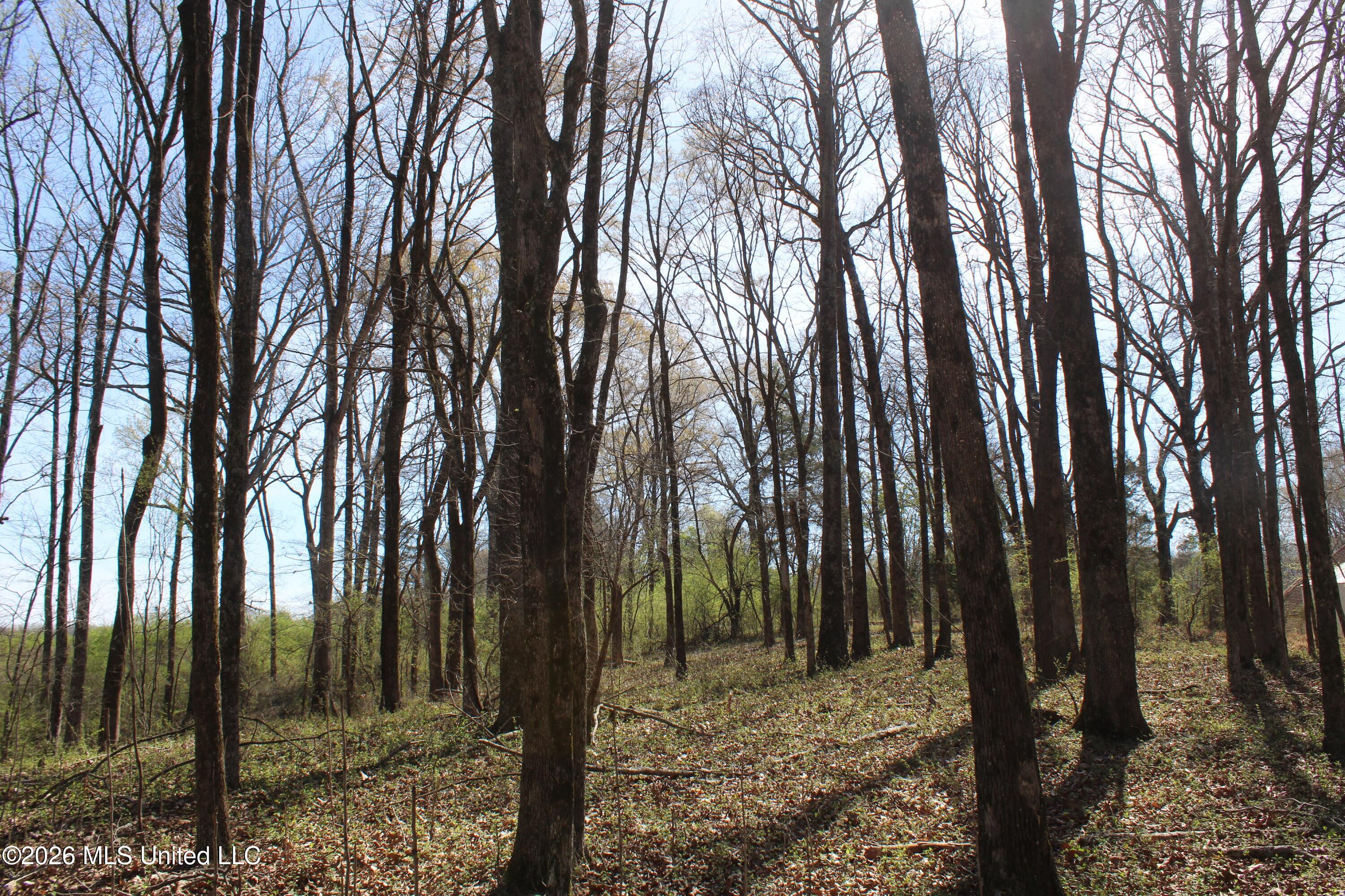 10 Barton Desoto Road Olive Branch, MS 38654 - Photo 3 of 9 IMG_7515