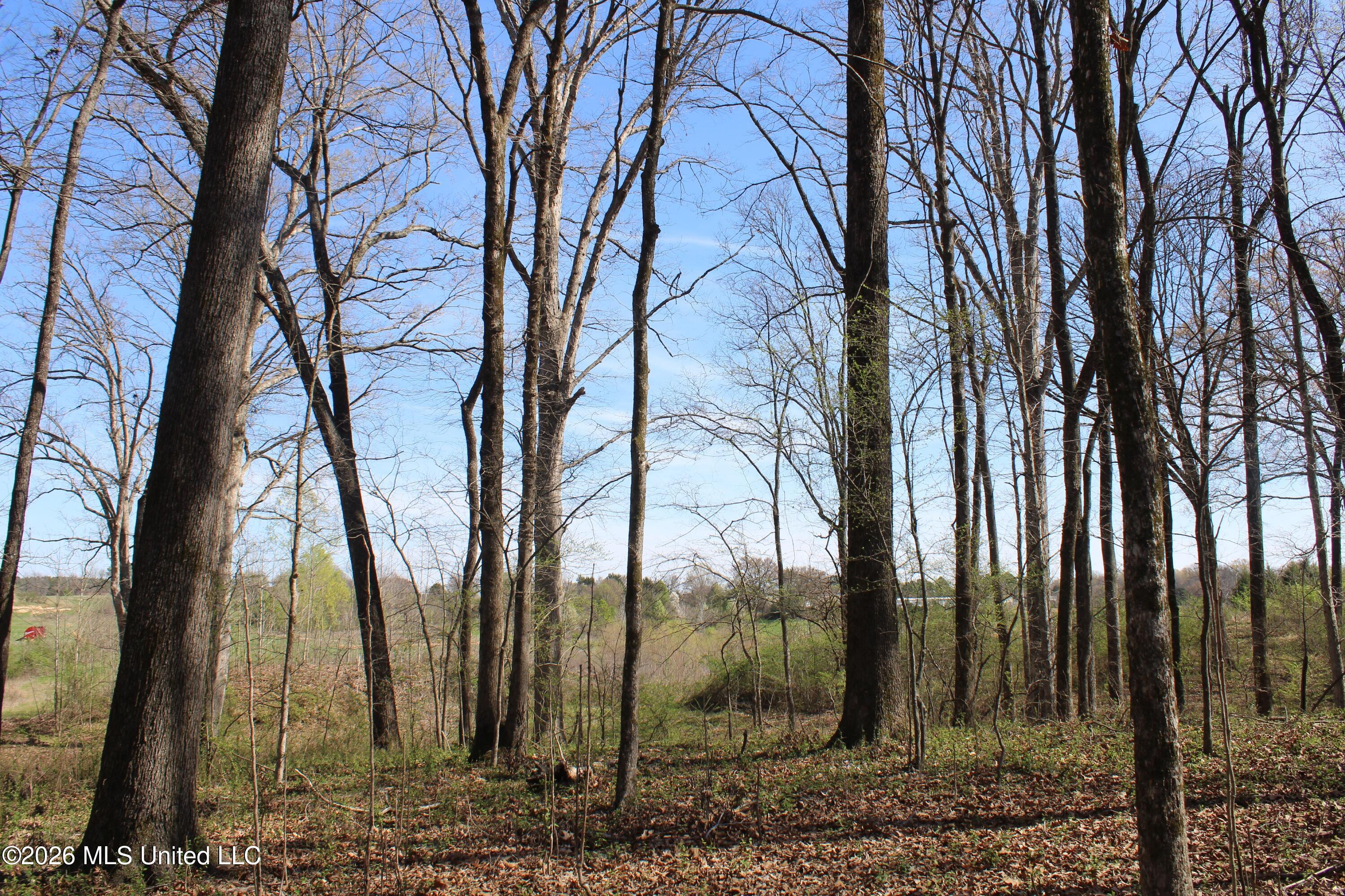 10 Barton Desoto Road Olive Branch, MS 38654 - Photo 4 of 9 IMG_7516
