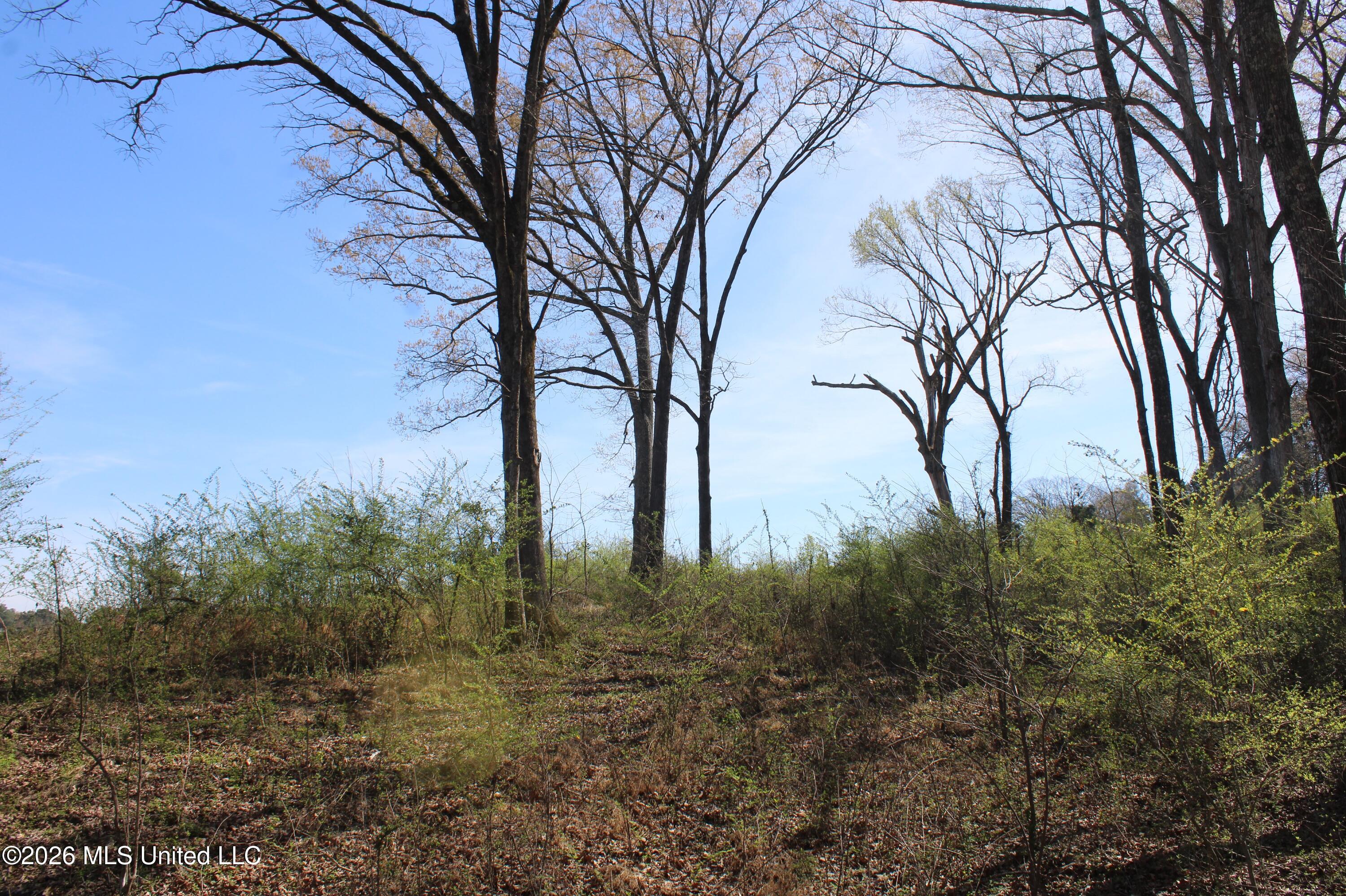 10 Barton Desoto Road Olive Branch, MS 38654 - Photo 5 of 9 IMG_7517
