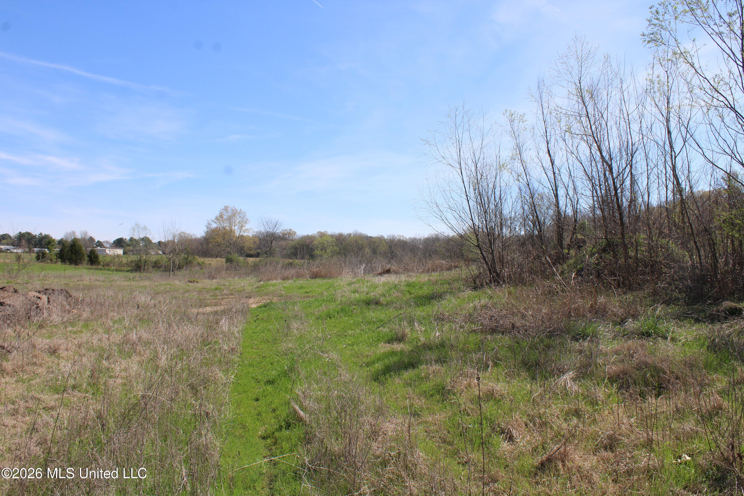 10 Barton Desoto Road Olive Branch, MS 38654 - Photo 7 of 9 IMG_7522