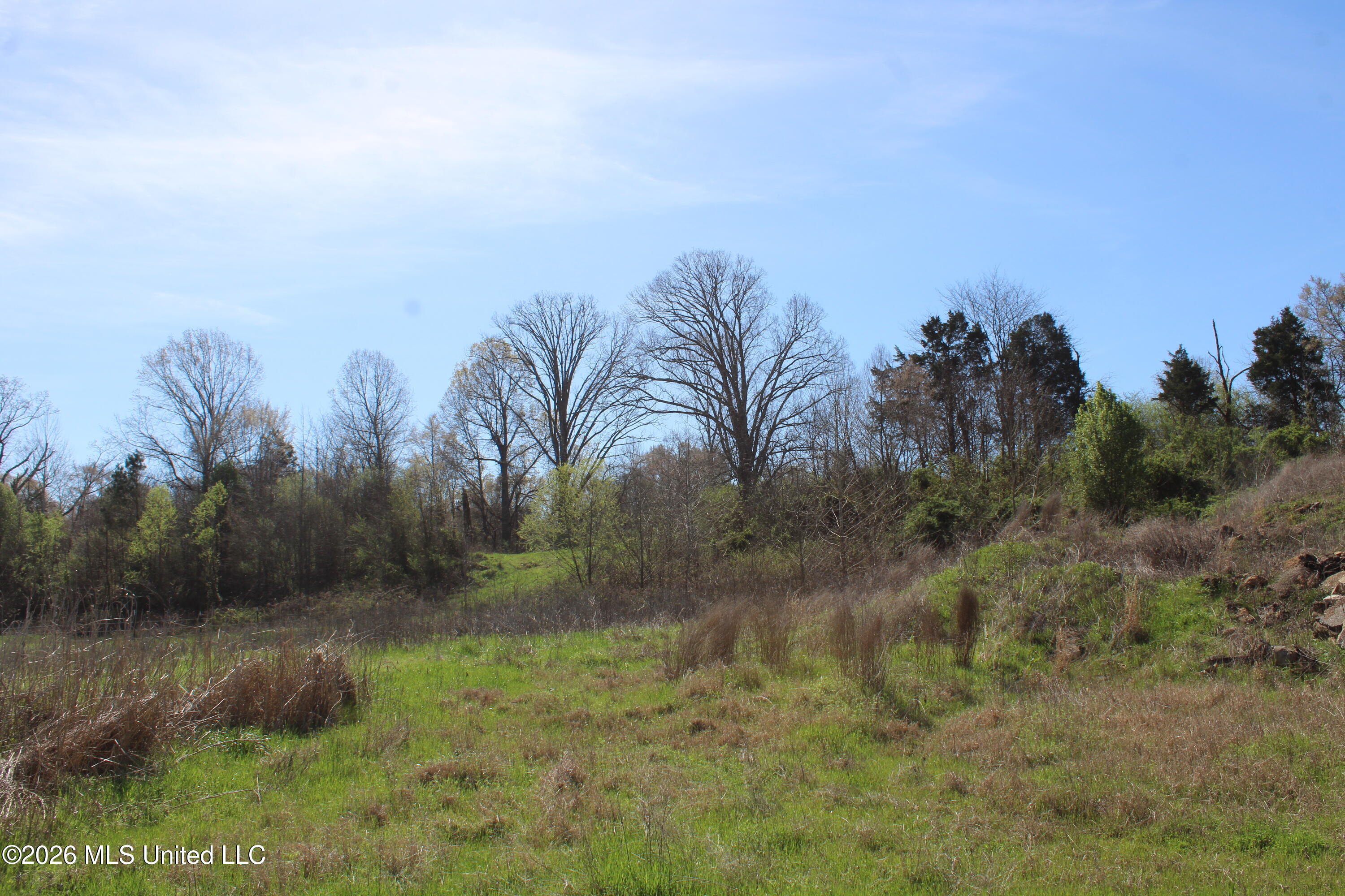 10 Barton Desoto Road Olive Branch, MS 38654 - Photo 8 of 9 IMG_7523