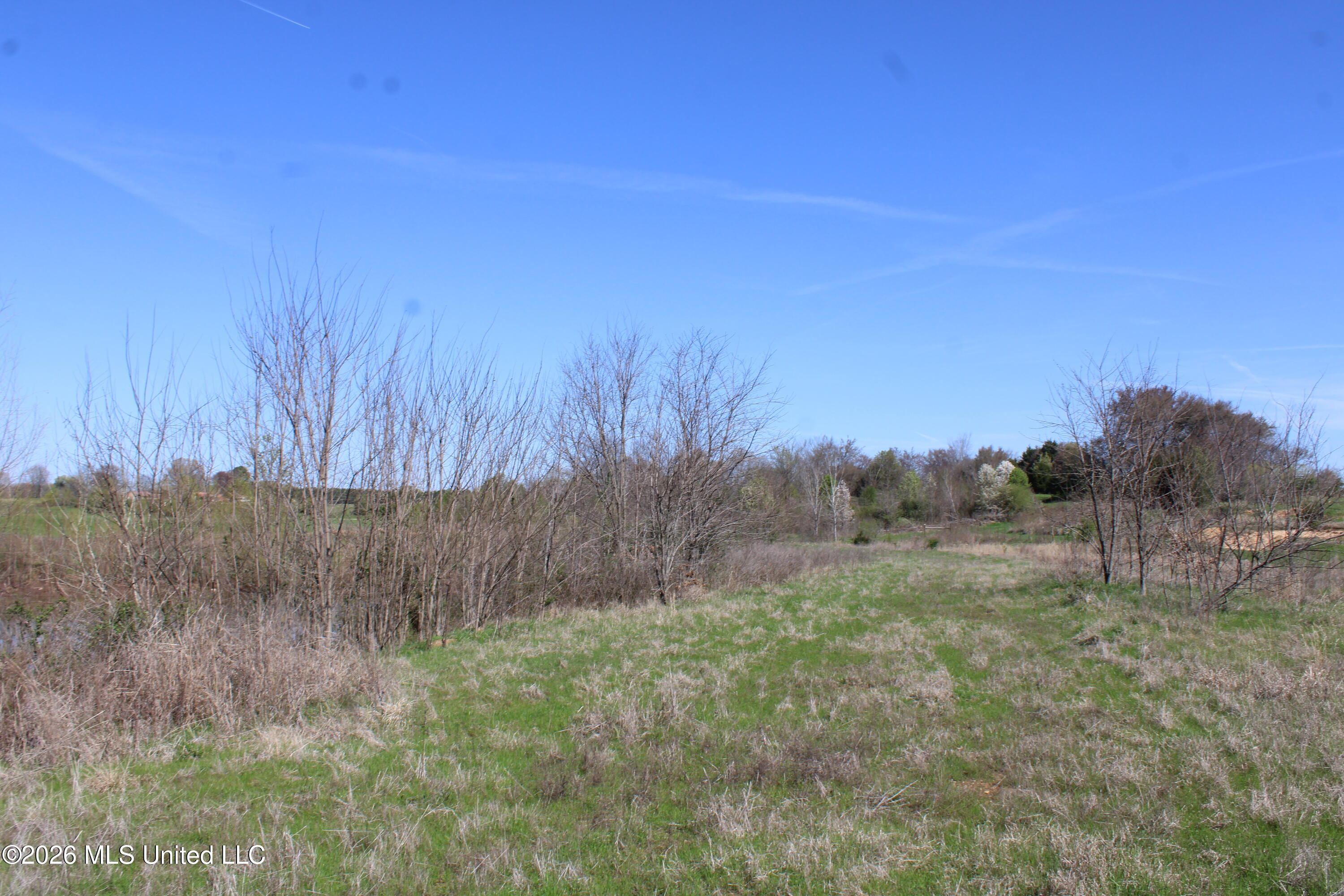 10 Barton Desoto Road Olive Branch, MS 38654 - Photo 9 of 9 IMG_7524