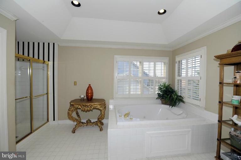2119 Queensguard Road Silver Spring, MD 20906 - Photo 23 of 30 Bath (Master)