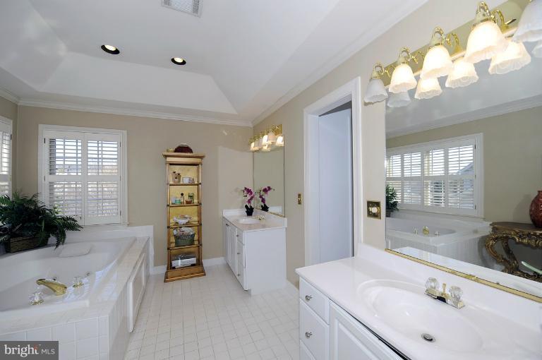 2119 Queensguard Road Silver Spring, MD 20906 - Photo 4 of 30 Bath (Master)