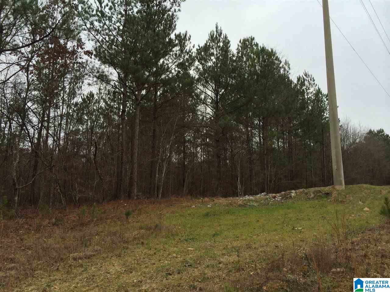 2469 Cherokee Road, Unit 40 ACRES Pell City, AL 35128 - Photo 3 of 9