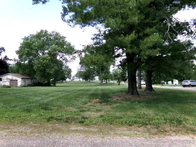 a view of a trees in a yard