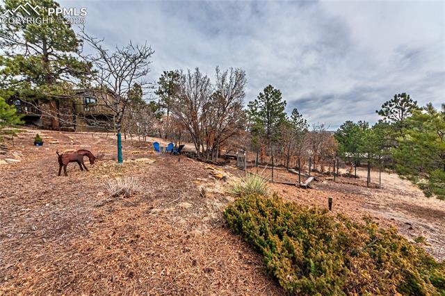7175 Higher Ridges Court Colorado Springs, CO 80919 - Photo 45 of 50 View of yard with a rural view