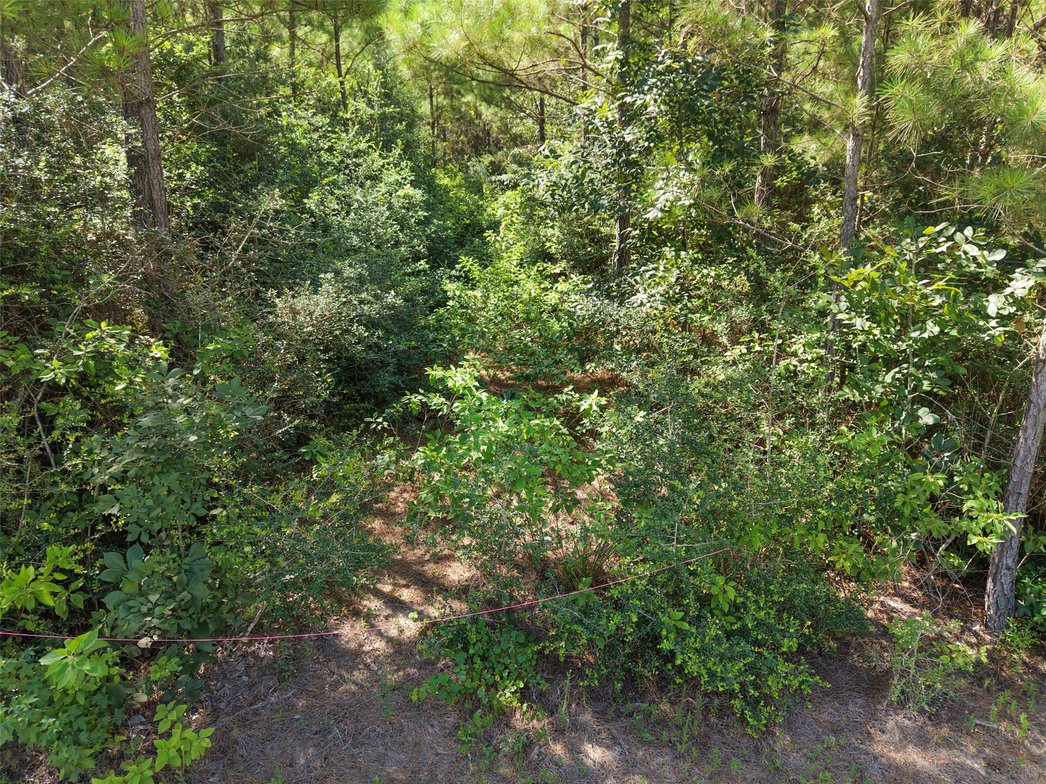 15785 Woodlife Road Willis, TX 77378 - Photo 4 of 12