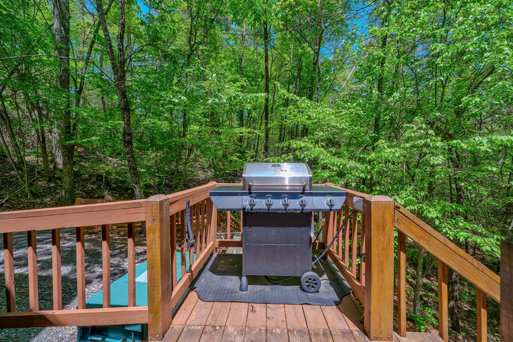 56 Hemlock Blue Ridge, GA 30513 - Photo 55 of 65 Gallery Image 55