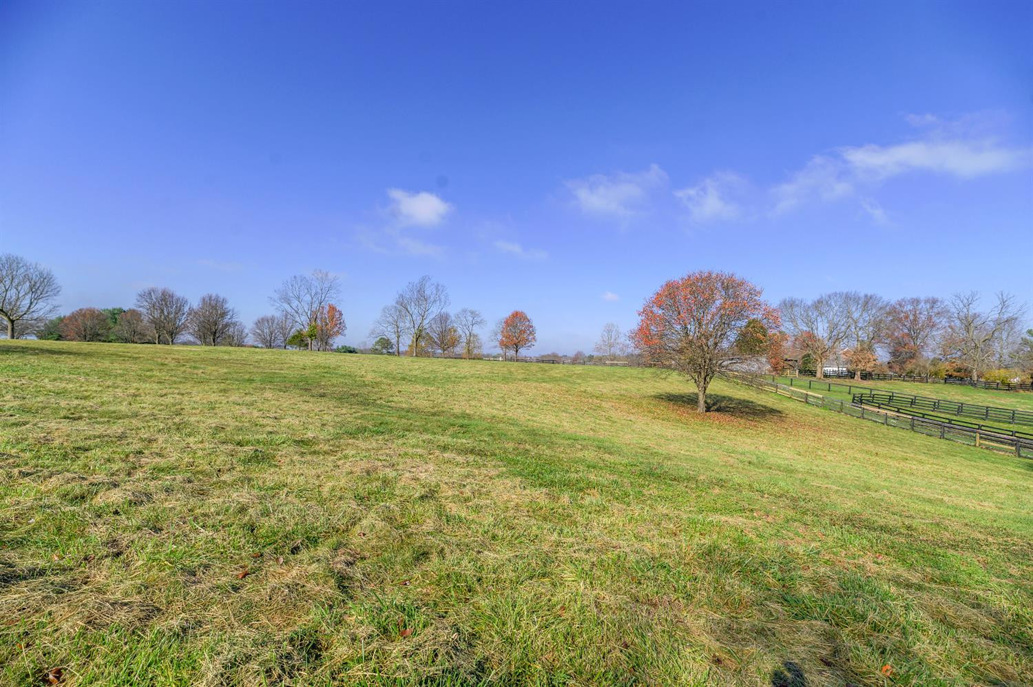 5768 Tates Creek Road Lexington, KY 40515 - Photo 3 of 35 Photo 3