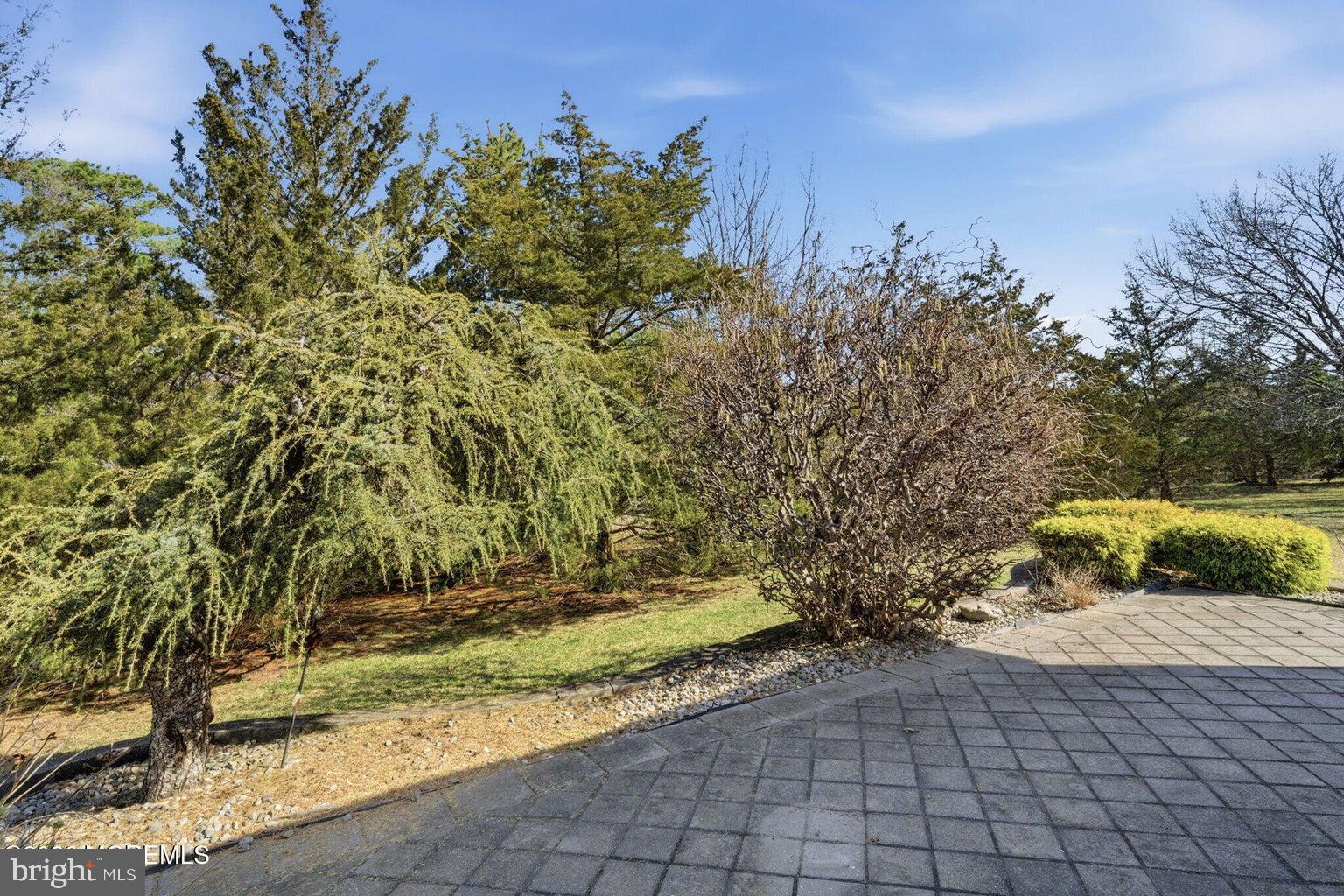 11 Ripple Terrace Barnegat, NJ 08005 - Photo 38 of 64 a view of a yard with plants and trees