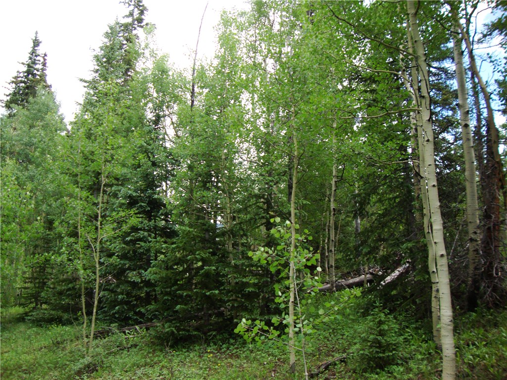 37 Mine Road Alma, CO 80420 - Photo 10 of 24 Gallery Image 10