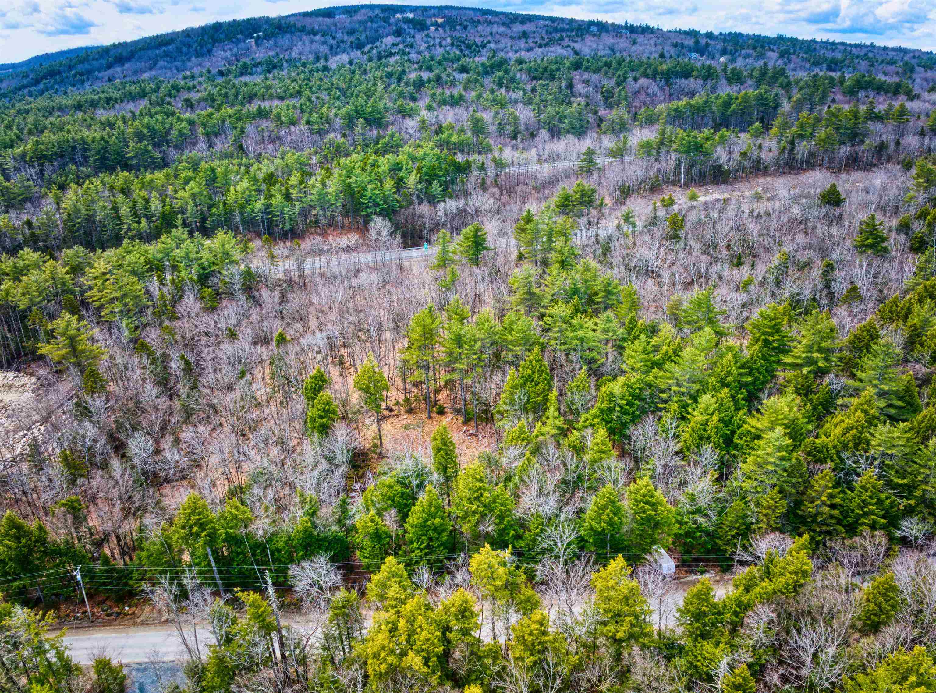 0 Hominy Pot Road Bradford, NH 03221 - Photo 10 of 11