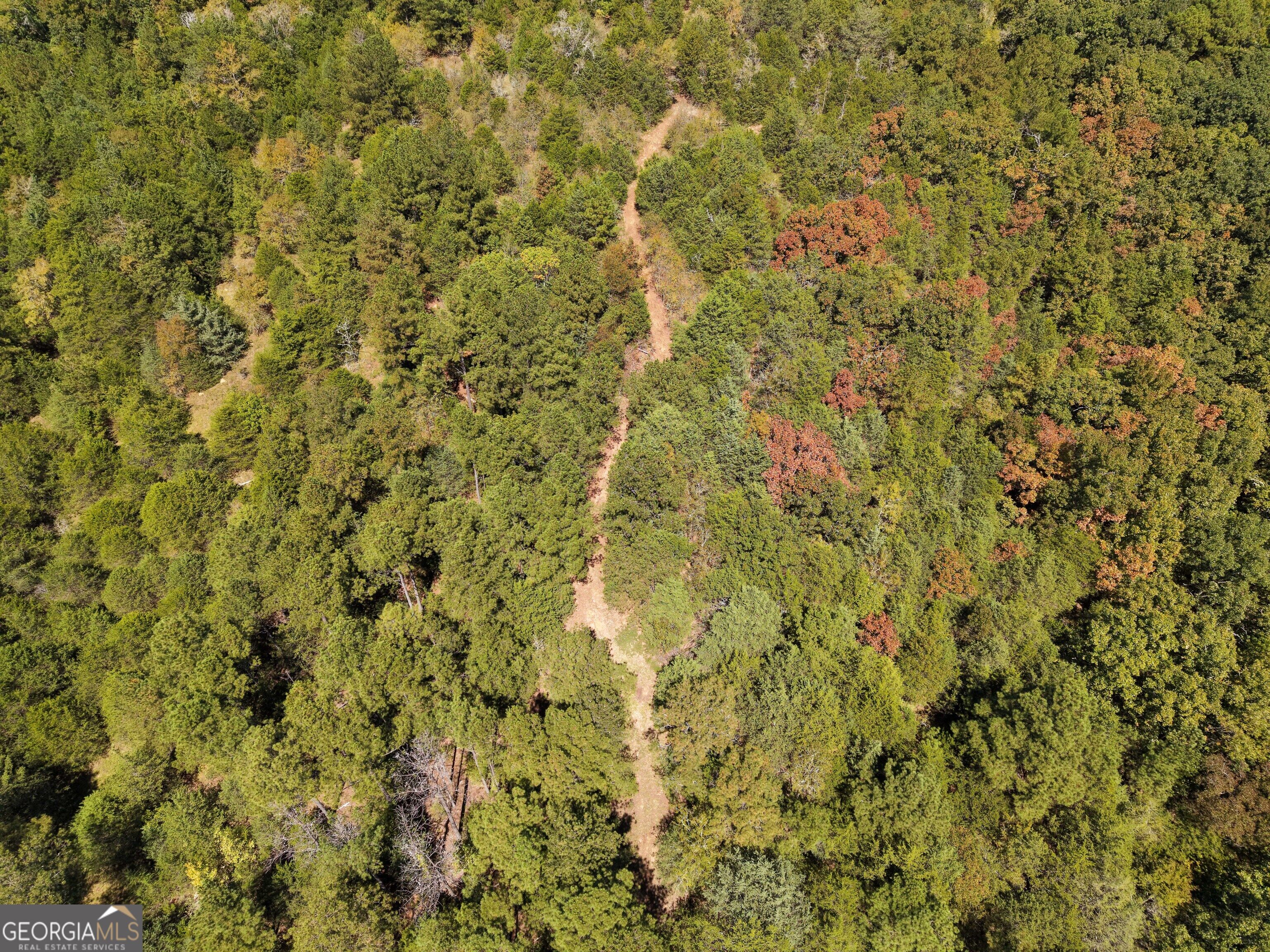 1419 Bobby Brown State Park Road Elberton, GA 30635 - Photo 8 of 90 Gallery Image 8