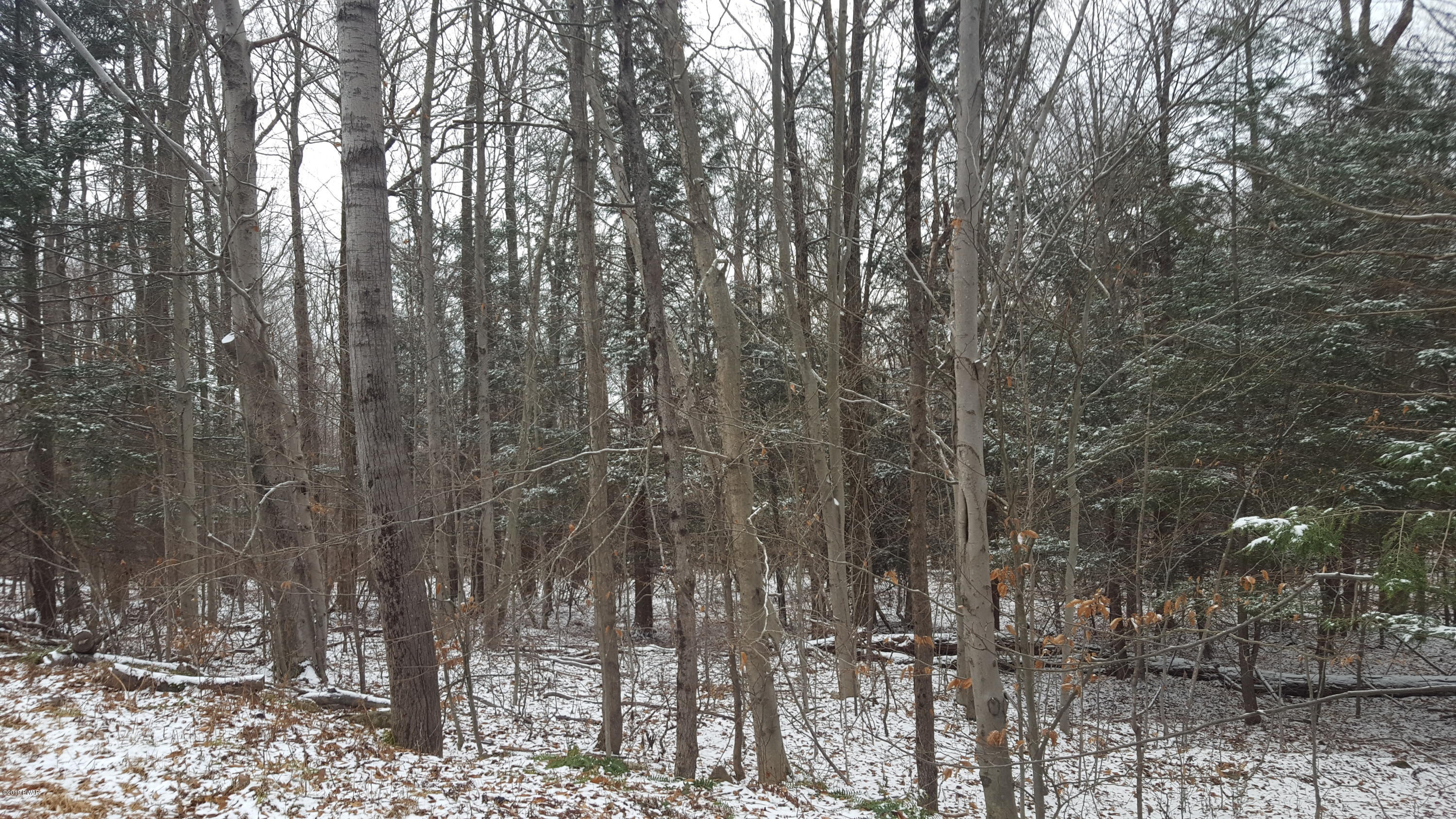 Kellows Road Honesdale, PA 18431 - Photo 4 of 5