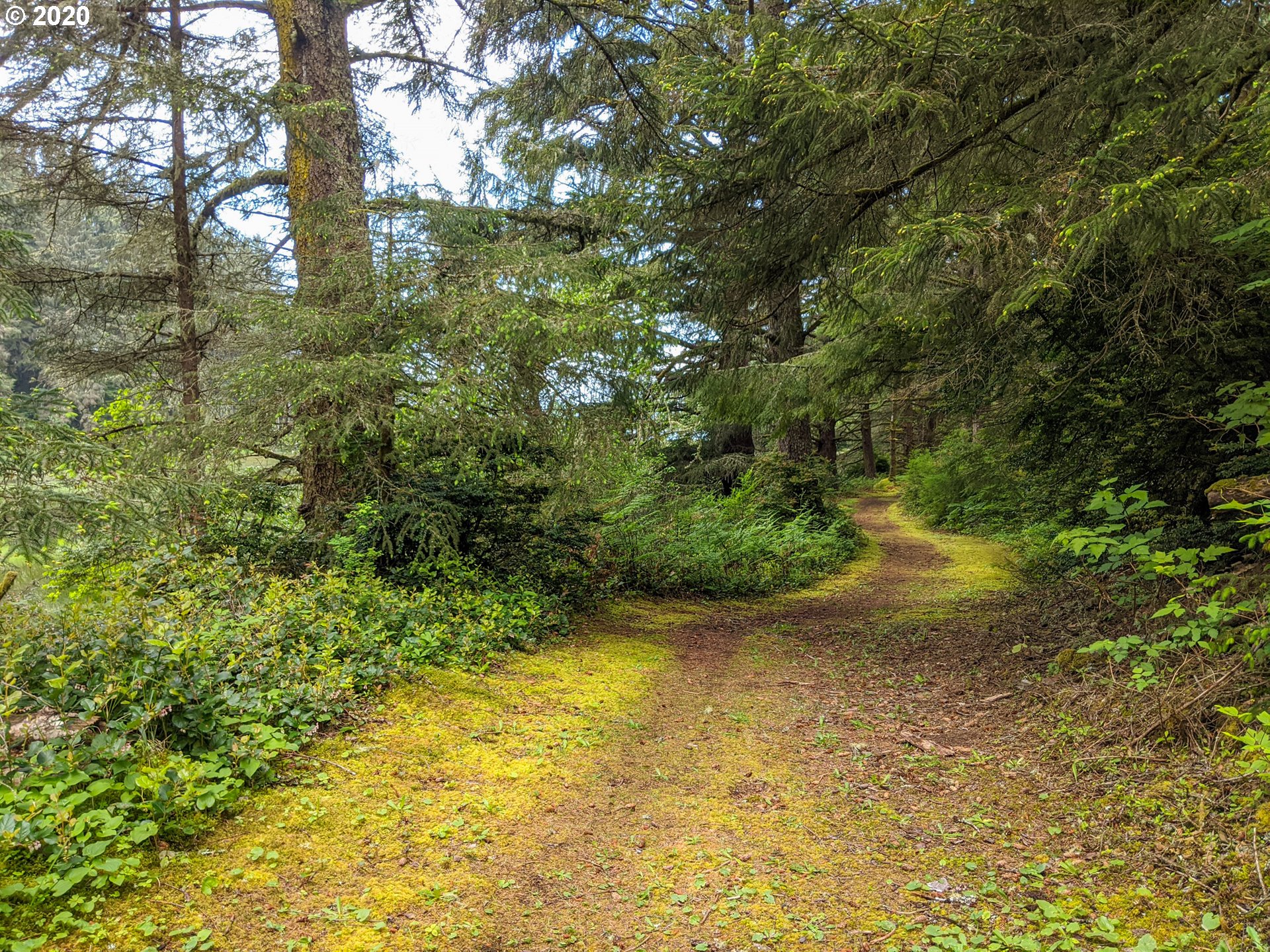 Meadowood, Unit 1 Tillamook, OR 97141 - Photo 8 of 8