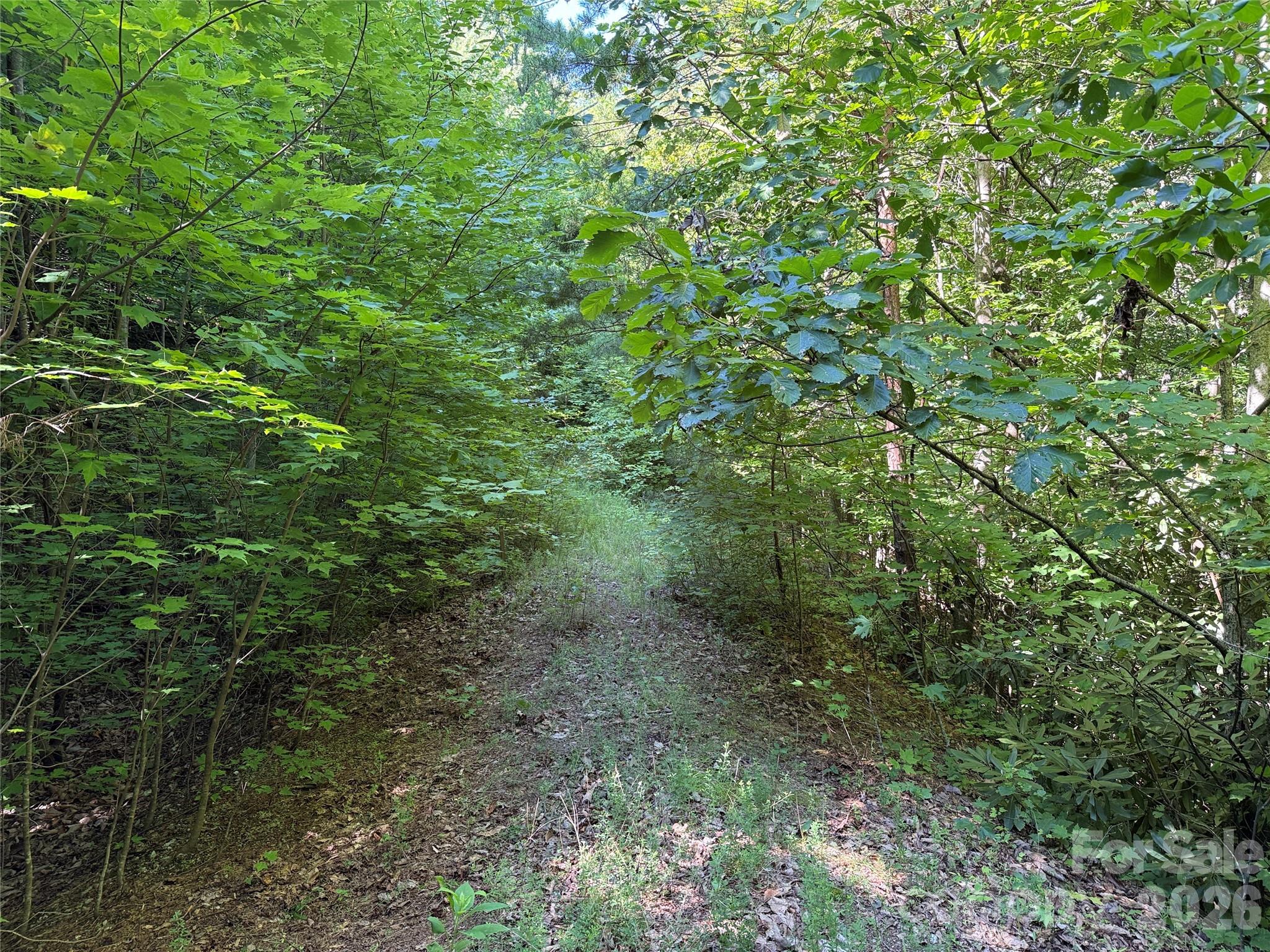 Tbd Casey Mountain Road, Unit 222 Purlear, NC 28665 - Photo 4 of 31 Gallery Image 4