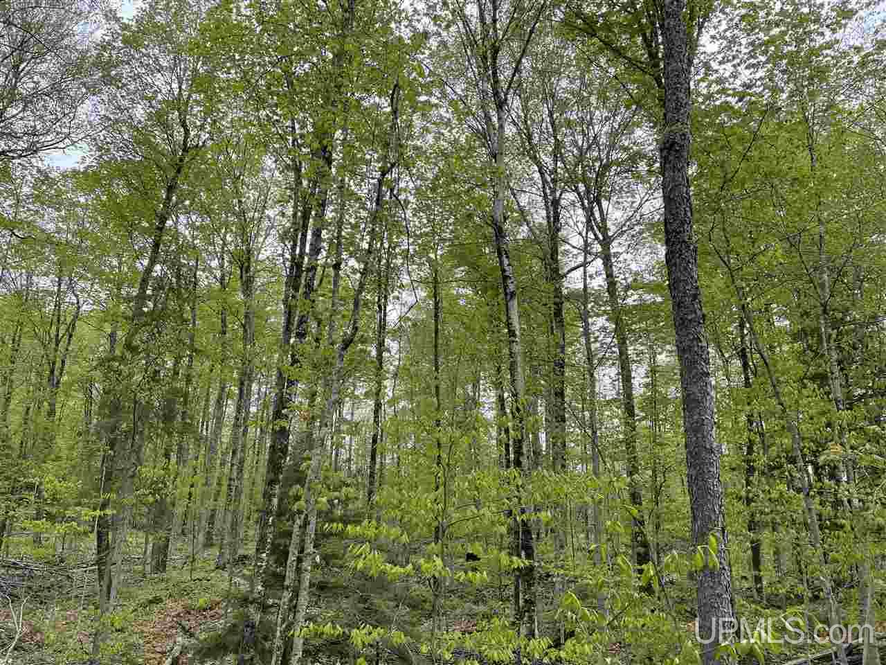 0 County Road 577 Road, Unit ANNA RIVER RDP Munising, MI 49862 - Photo 25 of 26