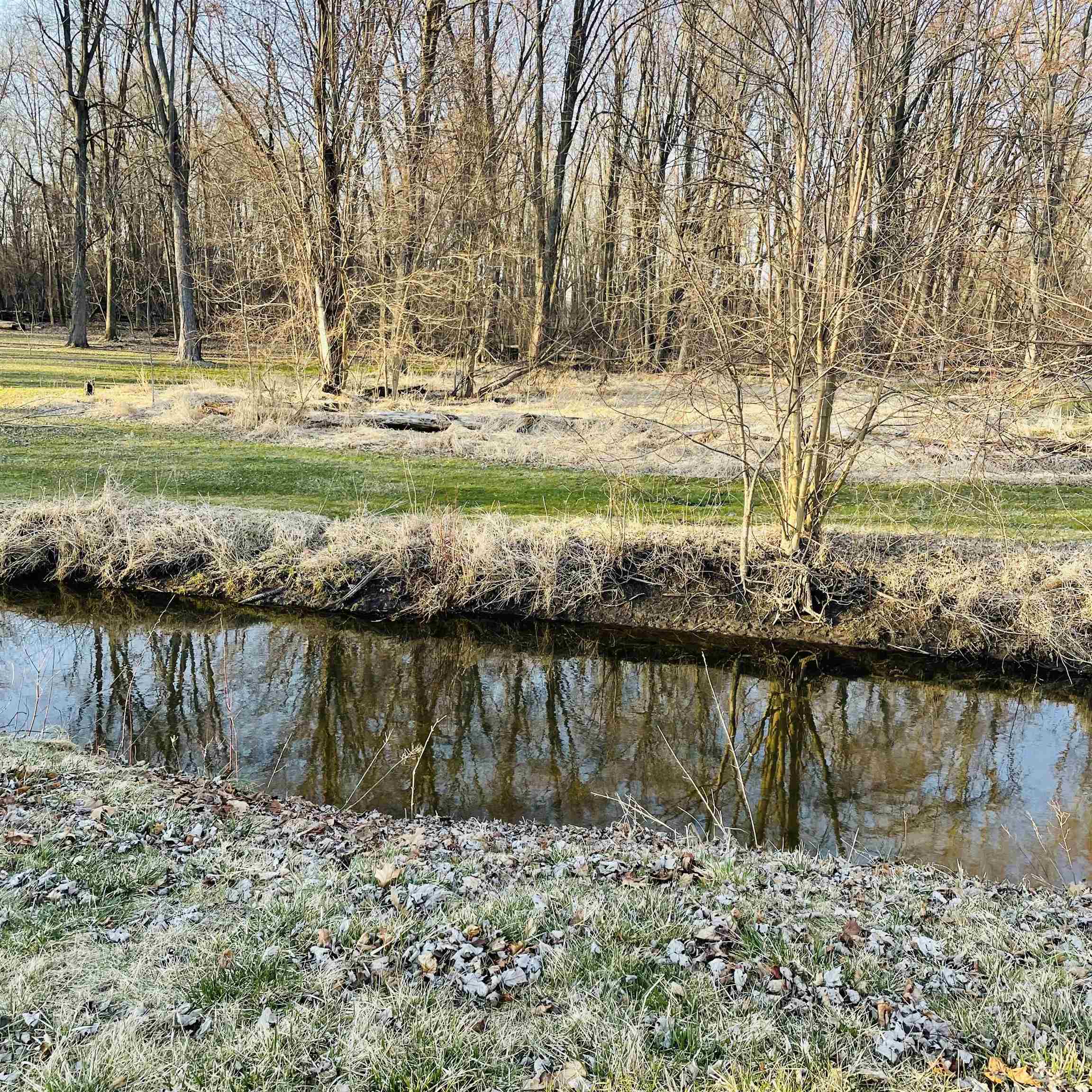 965 Tyrrell Road, Unit 79 Bancroft, MI 48414 - Photo 4 of 16