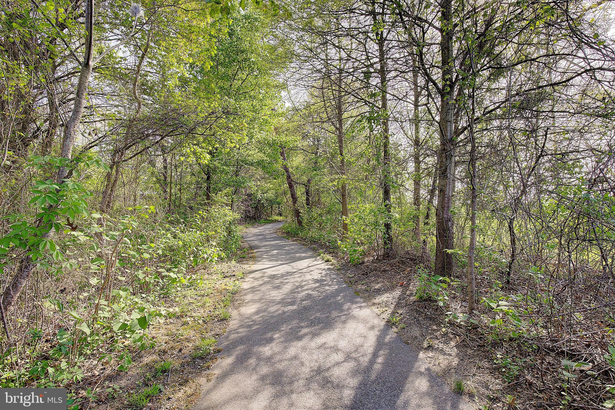 1022 Red Clover Road Gambrills, MD 21054 - Photo 34 of 42 Community walking trails