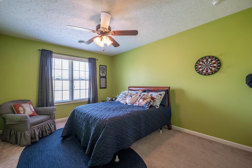 20993 Cheyenne Trail Abingdon, VA 24211 - Photo 51 of 70 86229_51