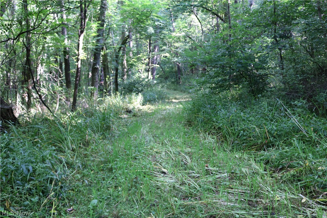 Lick Run Road Newcomerstown, OH 43832 - Photo 9 of 23 Gallery Image 9