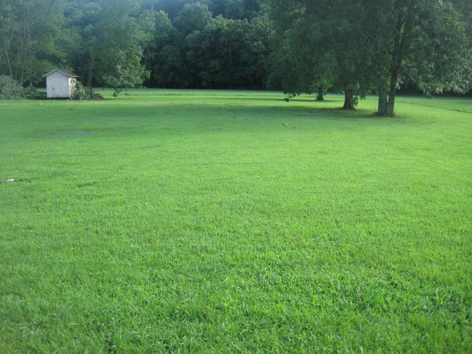 15 Mt Vernon Road Bethpage, TN 37022 - Photo 13 of 14 a view of outdoor space with deck and yard