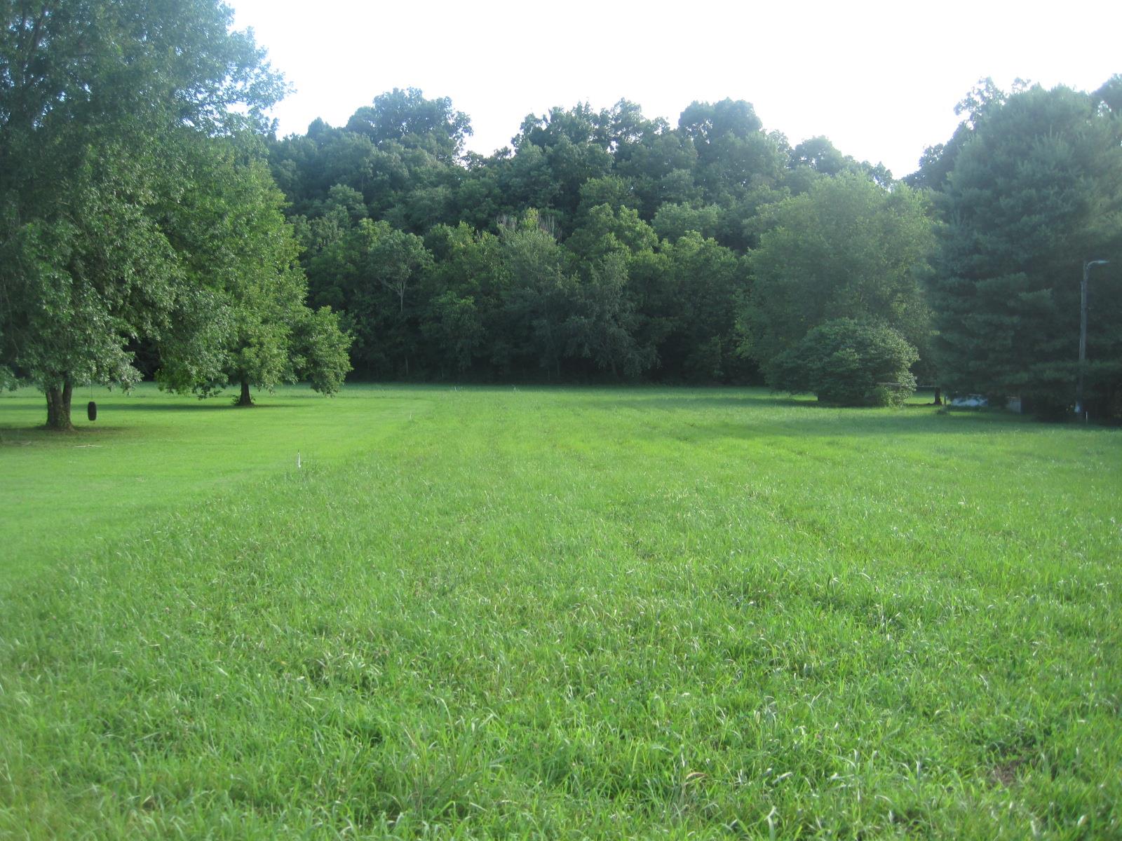 15 Mt Vernon Road Bethpage, TN 37022 - Photo 4 of 14 a view of a field of grass and trees