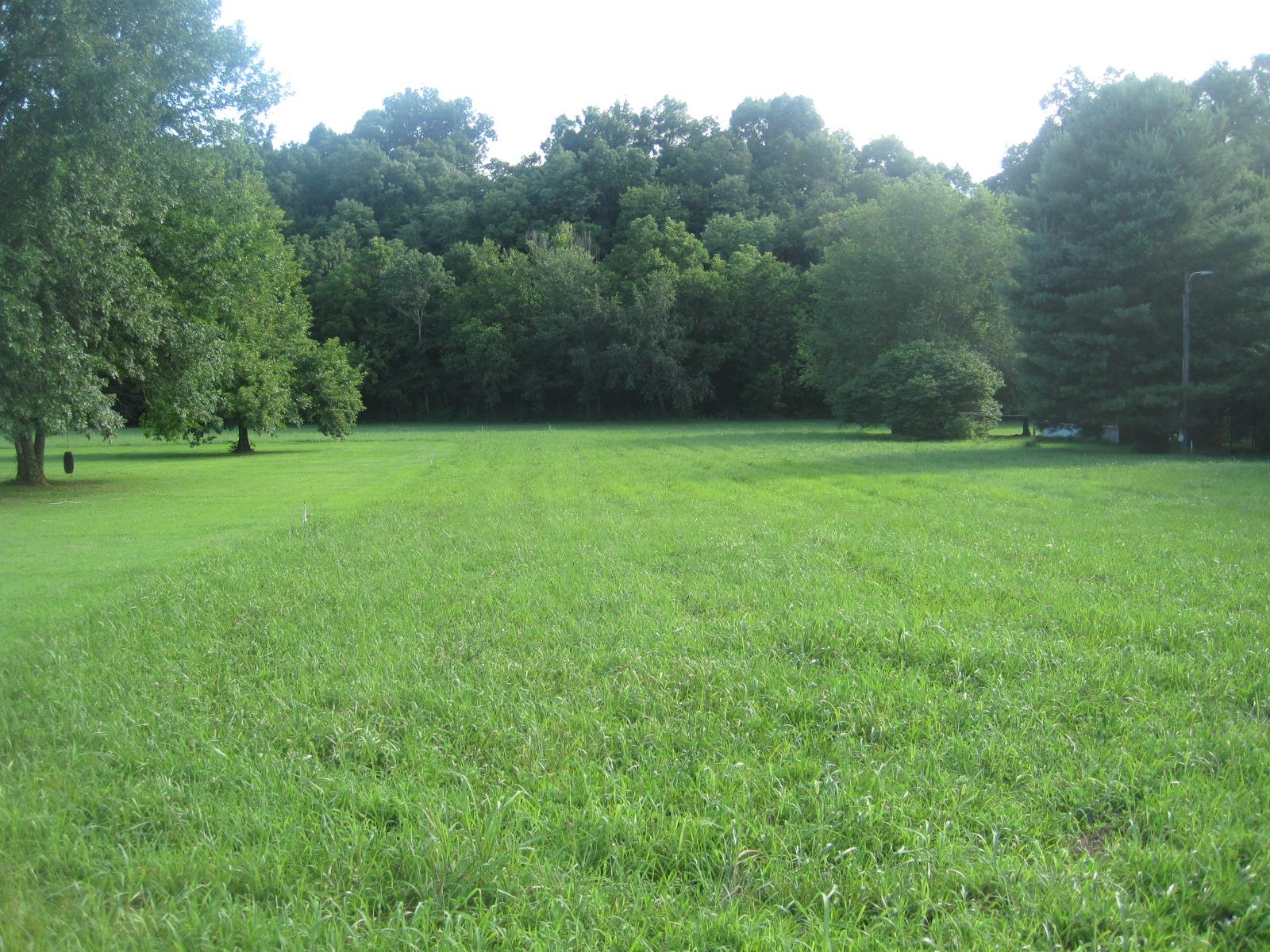 15 Mt Vernon Road Bethpage, TN 37022 - Photo 5 of 14 a view of a field of grass and trees