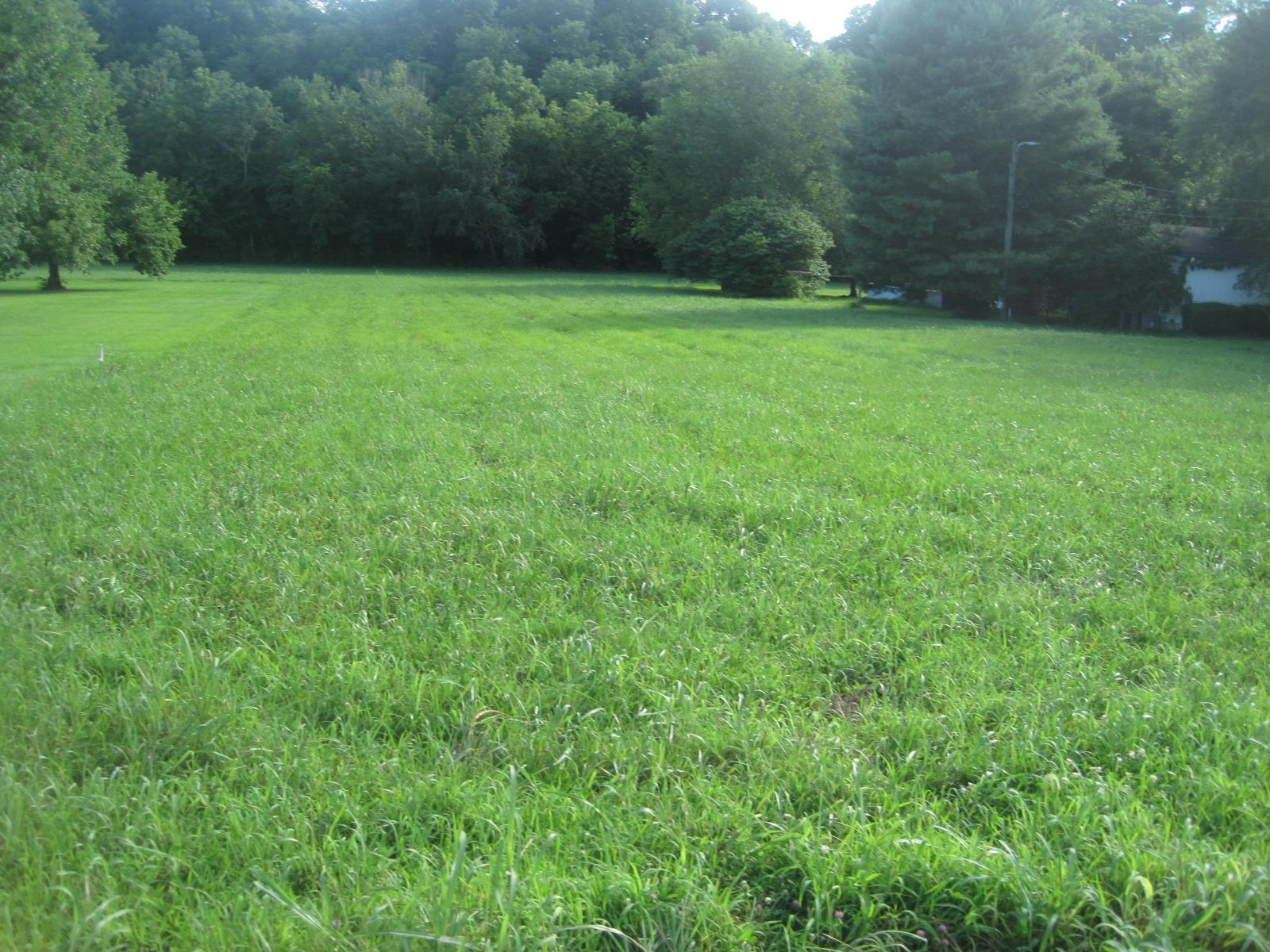 15 Mt Vernon Road Bethpage, TN 37022 - Photo 6 of 14 a view of a green yard