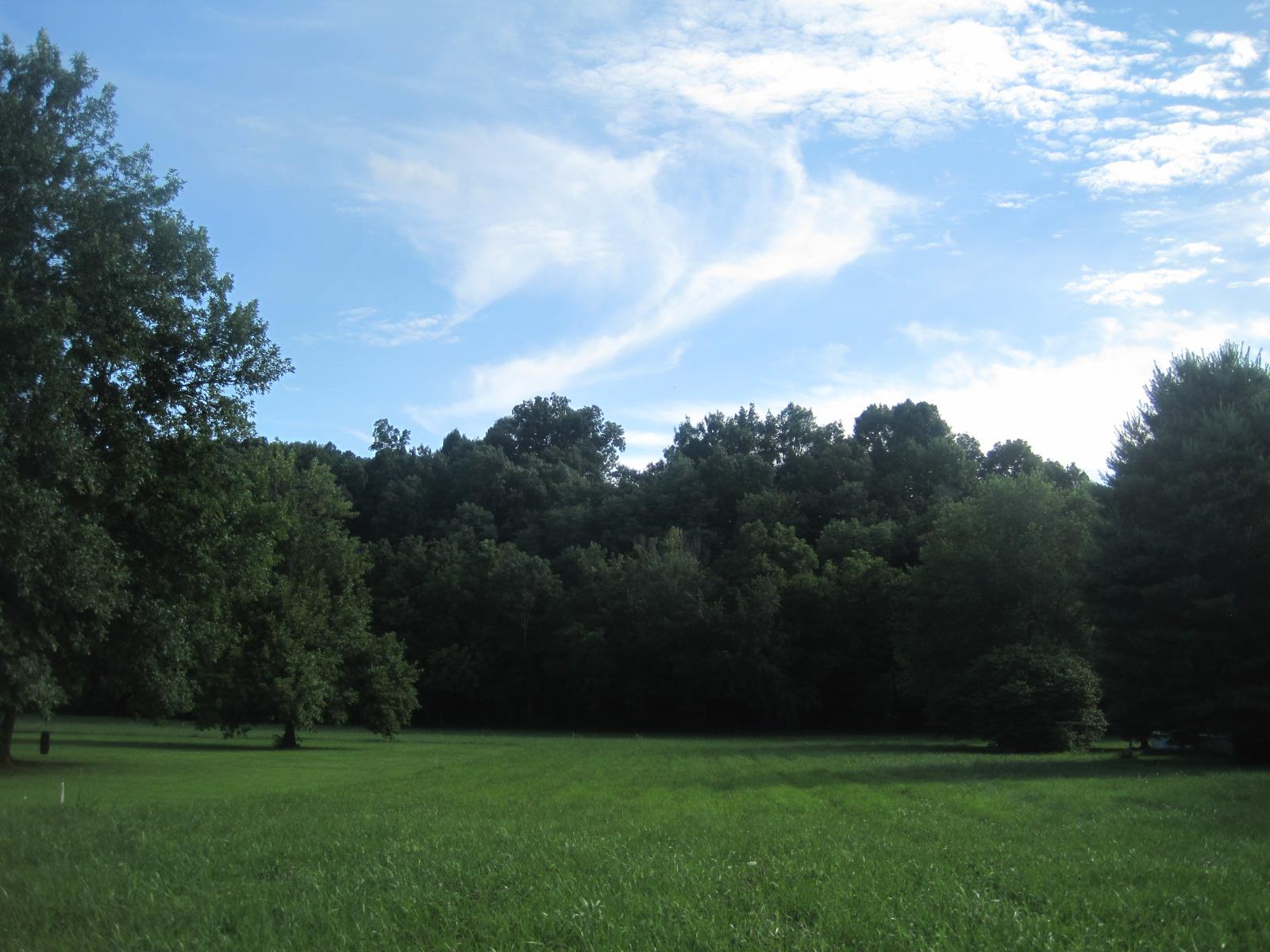 15 Mt Vernon Road Bethpage, TN 37022 - Photo 7 of 14 a view of a grassy field with trees
