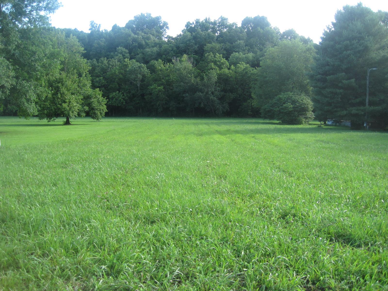15 Mt Vernon Road Bethpage, TN 37022 - Photo 8 of 14 a view of green field with trees in the background