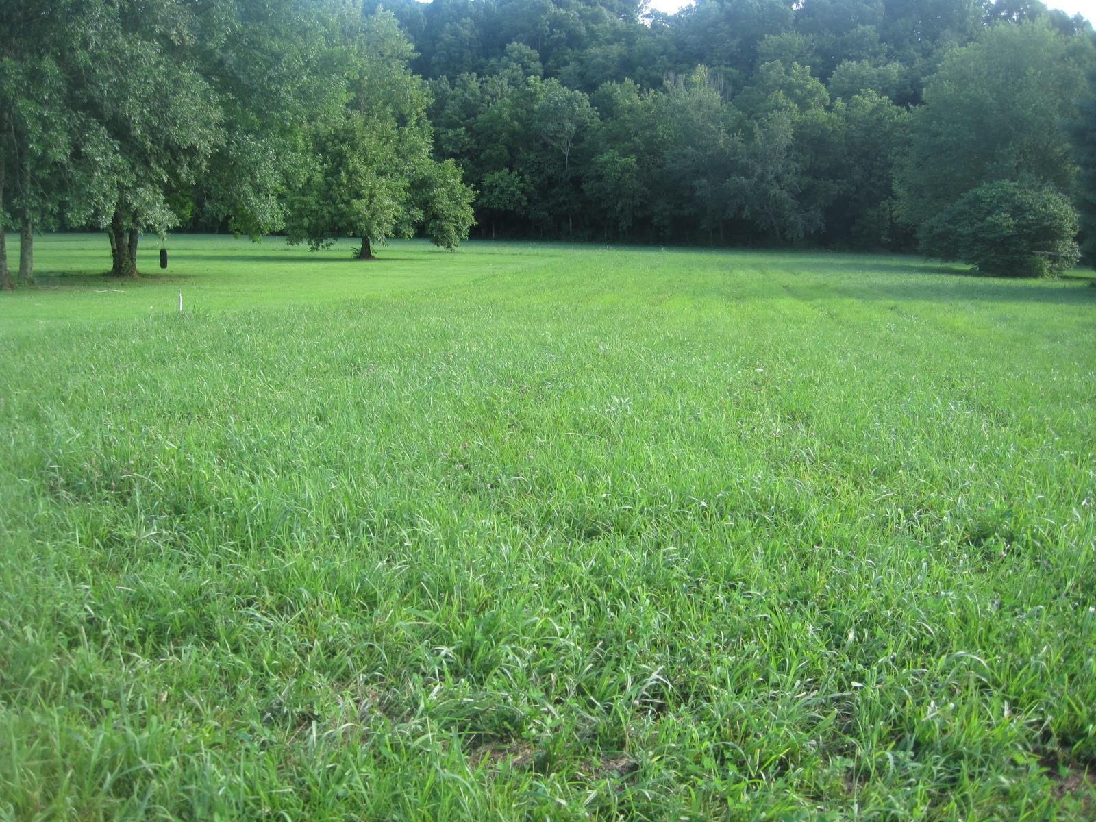 15 Mt Vernon Road Bethpage, TN 37022 - Photo 9 of 14 a view of outdoor space with deck and yard