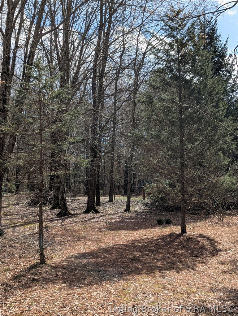 9615 Sandy Branch Road Southeast Elizabeth, IN 47117 - Photo 16 of 19