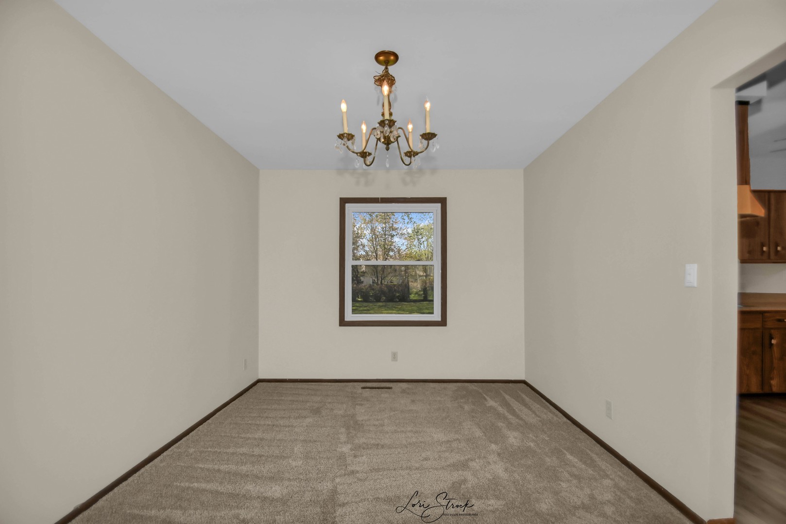 869 Heather Drive Bourbonnais, IL 60914 - Photo 17 of 23 a view of a hallway with a window