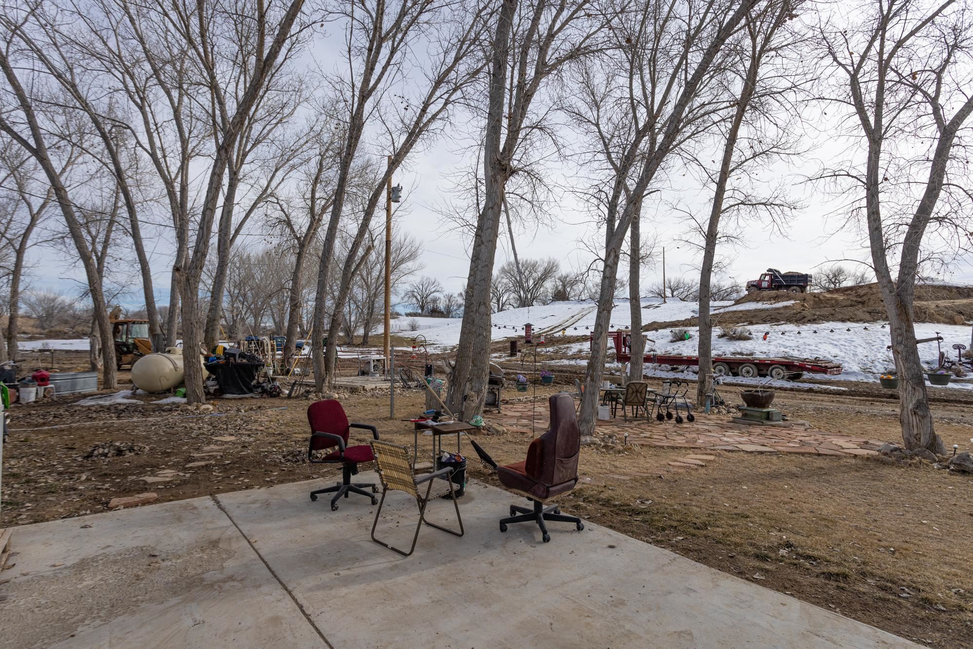 1546 10 Road Mack, CO 81525 - Photo 23 of 34 a view of a yard with a tree