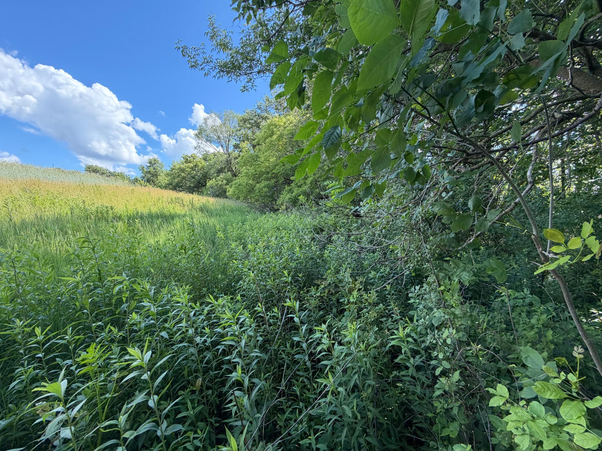 Tbd 48th Street Northeast Rochester, MN 55906 - Photo 11 of 27