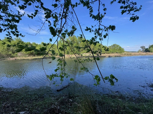 Tbd10 Coral Gables Trinity, TX 75862 - Photo 1 of 13 a view of a lake with a flower in a garden