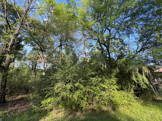 Tbd10 Coral Gables Trinity, TX 75862 - Photo 12 of 13 a view of a tree in a yard