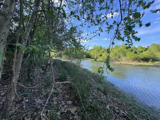 Tbd10 Coral Gables Trinity, TX 75862 - Photo 2 of 13 a view of a lake with large trees