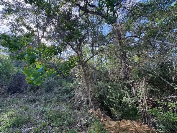 $29,900 | Tbd10 Coral Gables, Trinity, TX 75862