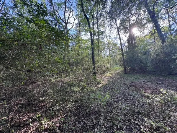 $29,900 | Tbd10 Coral Gables, Trinity, TX 75862