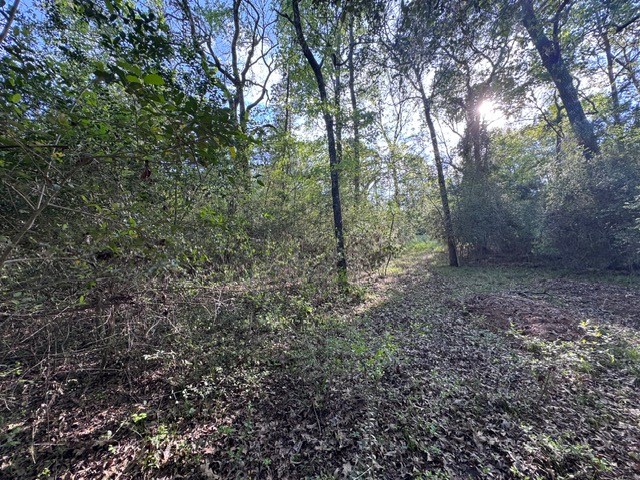 Tbd10 Coral Gables Trinity, TX 75862 - Photo 8 of 13 a view of a forest that has large trees
