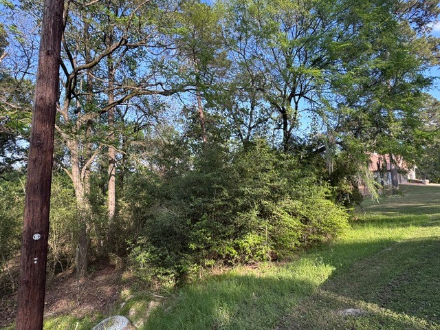 Tbd10 Coral Gables Trinity, TX 75862 - Photo 9 of 13 a view of yard with green space