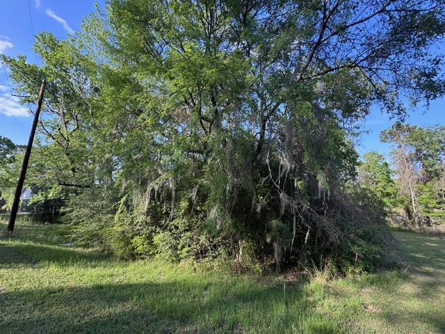 Tbd10 Coral Gables Trinity, TX 75862 - Photo 10 of 13 a view of a yard