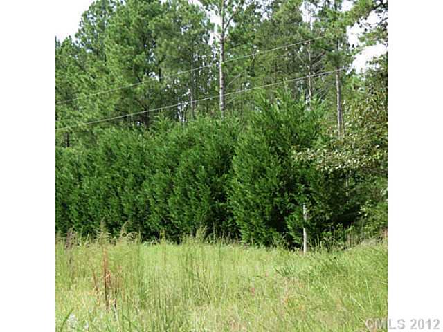 10-ac Rocky Road South Clover, SC 29710 - Photo 13 of 16